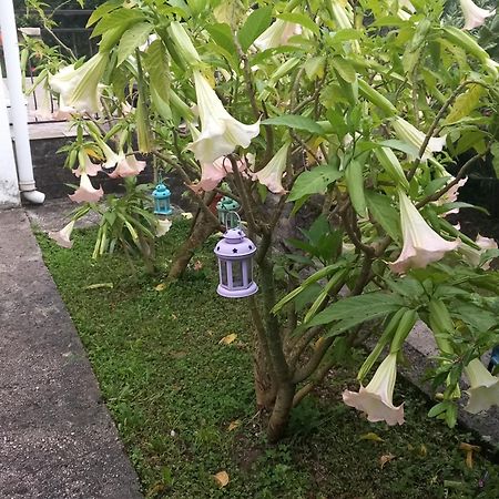 Holiday Home Bokokotorski Zaliv Luaran gambar